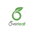 Self-hosted Online LaTeX Compilation and Preview Service: Overleaf Community Edition